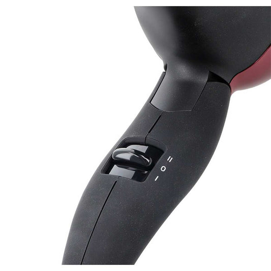 Dawlance 2509 R Hair Dryer